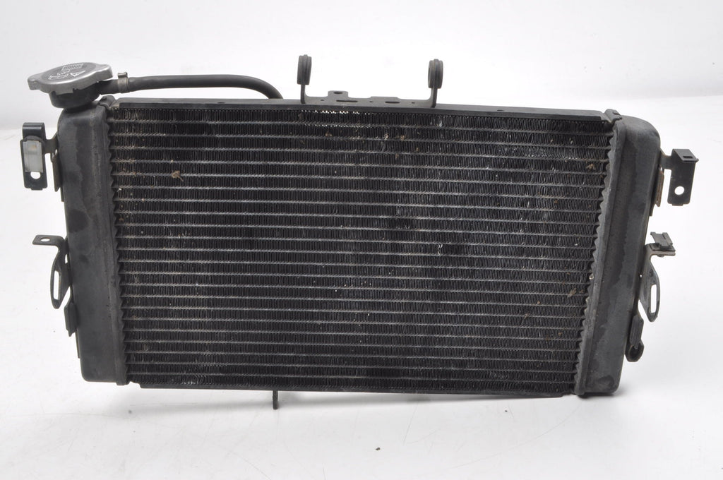 TRIUMPH TIGER 800 WATER COOLER