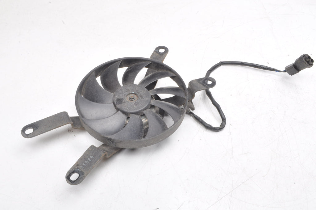 TRIUMPH TRIDENT FAN 21R